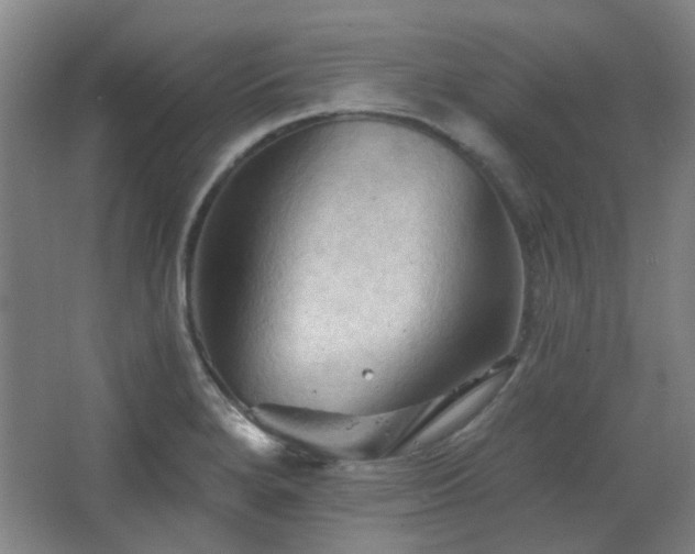 X0000068741280200604281130