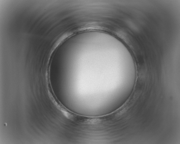 X0000068741282200604281130