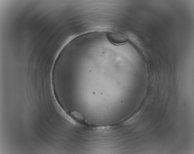 X0000068741283200604281130