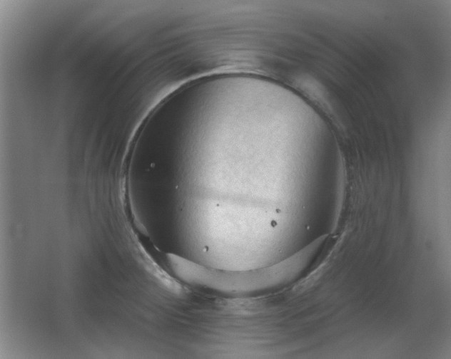 X0000068741284200604281130