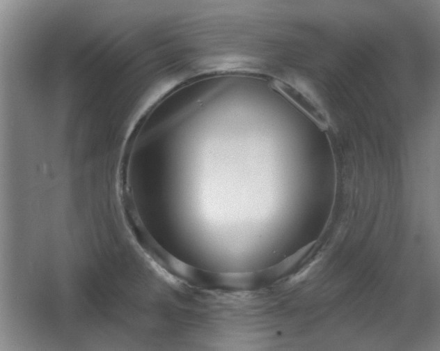 X0000068741285200604281130