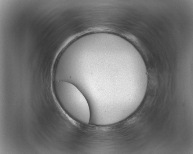 X0000068741286200604281130