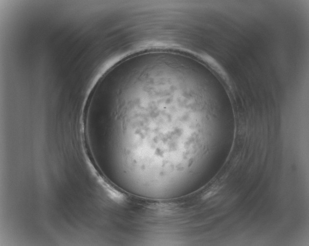 X0000068741287200604281130