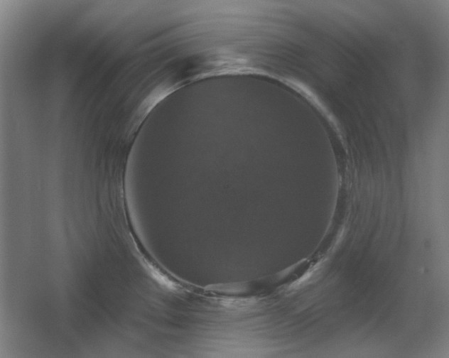 X0000068741289200604281130