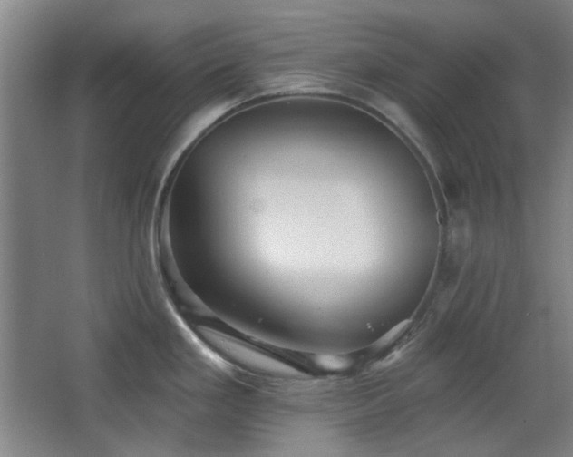 X0000068741293200604281130