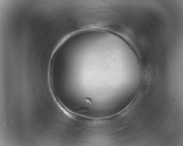 X0000068741294200604281130