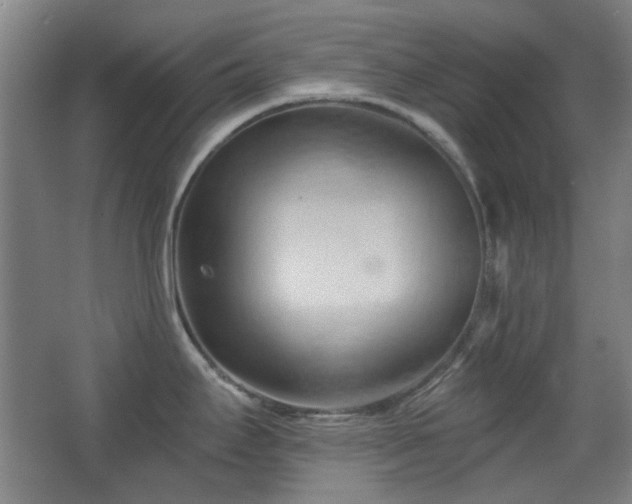 X0000068741295200604281130