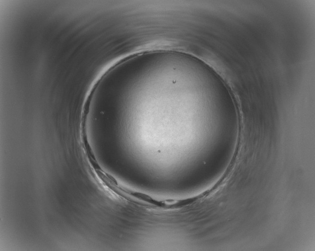 X0000068741296200604281130