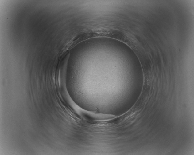 X0000068741298200604281129