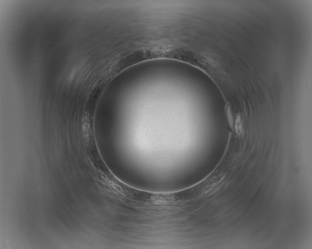 X0000068741299200604281129