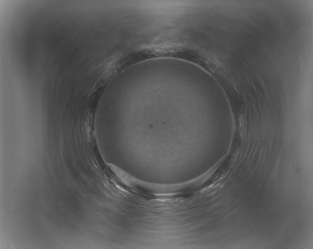 X0000068741300200604281129