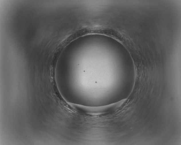 X0000068741301200604281129