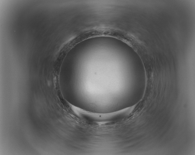 X0000068741302200604281129