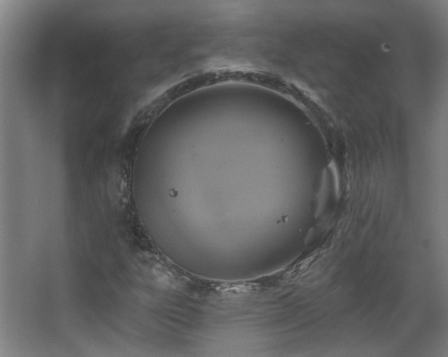 X0000068741303200604281129