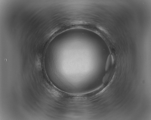 X0000068741305200604281129