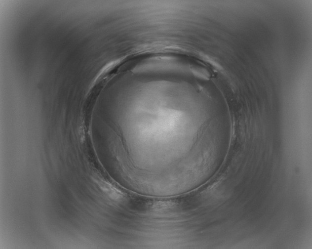 X0000068741306200604281129