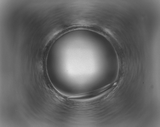 X0000068741307200604281129