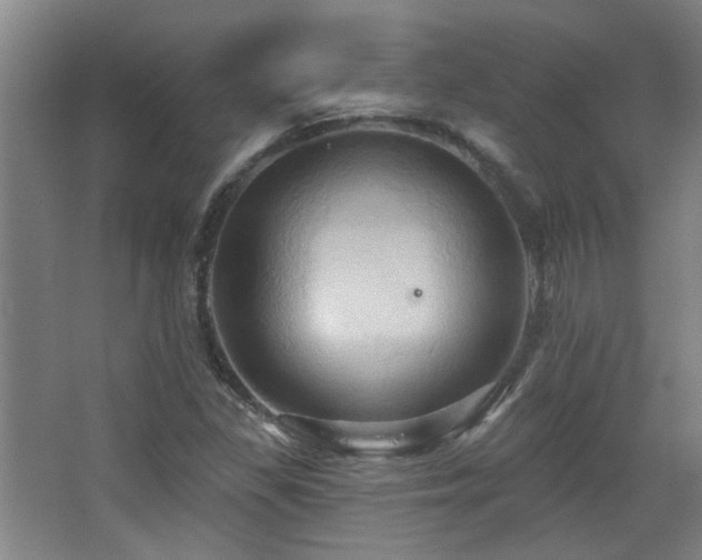 X0000068741309200604281129