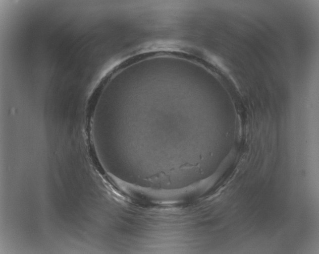 X0000068741312200604281129