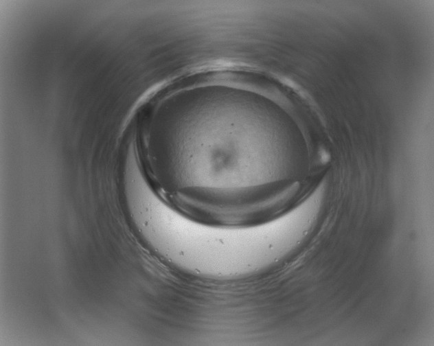 X0000068741314200604281129