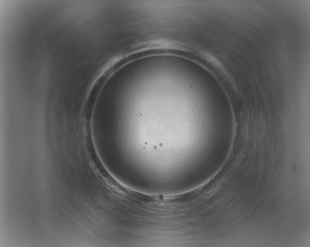 X0000068741318200604281129