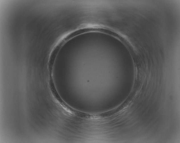 X0000068741319200604281129