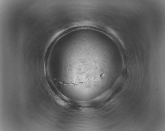 X0000068741320200604281129