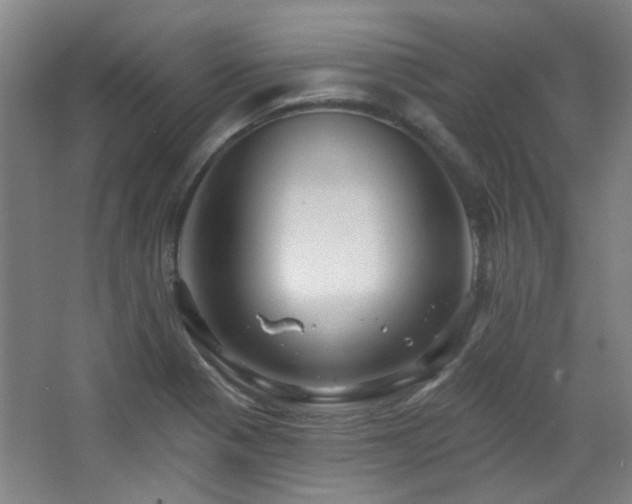 X0000068741321200604281129