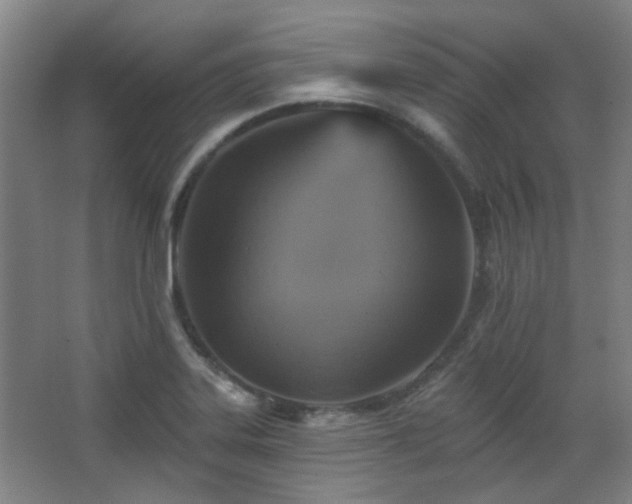 X0000068741323200604281129