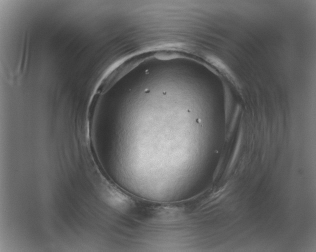 X0000068741324200604281129