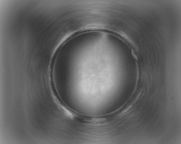 X0000068741325200604281129