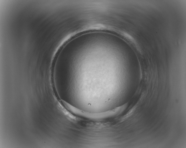 X0000068741326200604281129