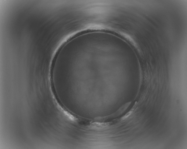 X0000068741327200604281129