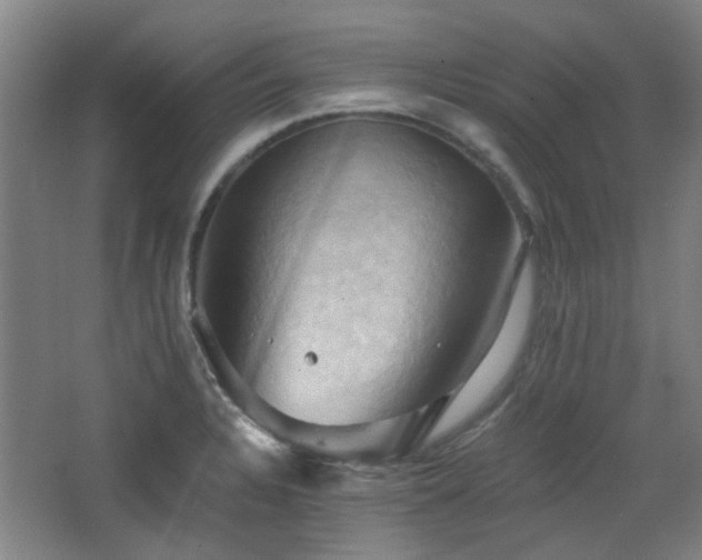 X0000068741328200604281129