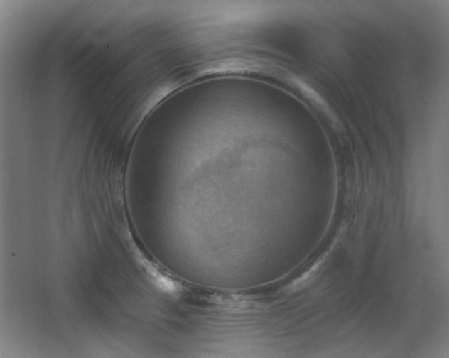 X0000068741329200604281129