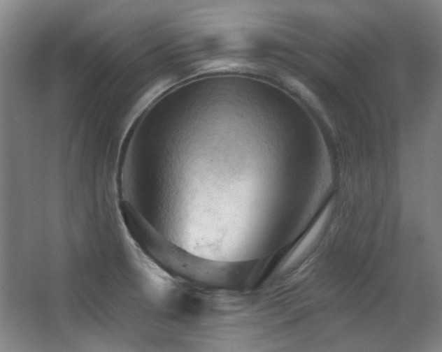 X0000068741330200604281129