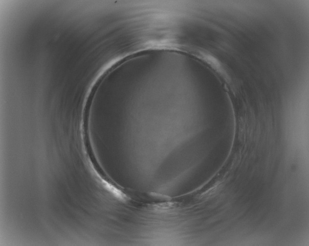 X0000068741331200604281129