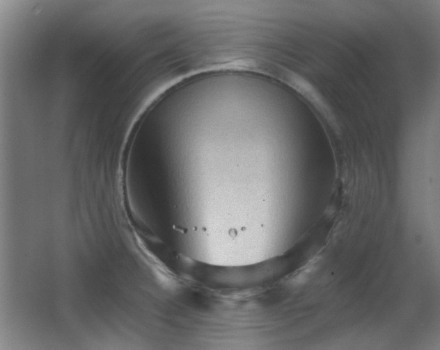 X0000068741332200604281129