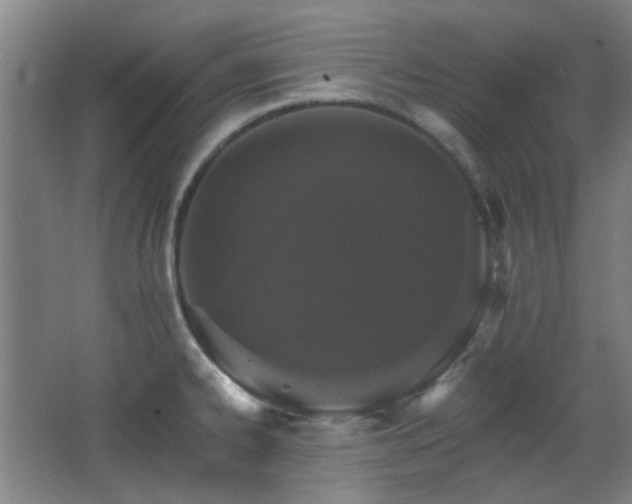 X0000068741334200604281129