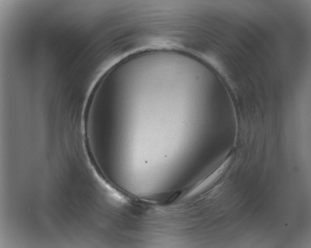 X0000068741335200604281129