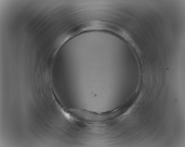 X0000068741337200604281129