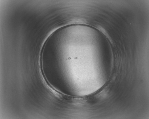 X0000068741339200604281129