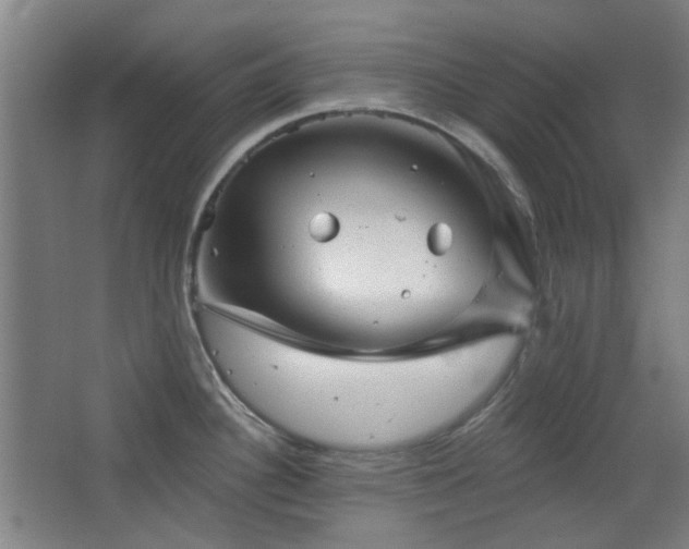 X0000068741340200604281130