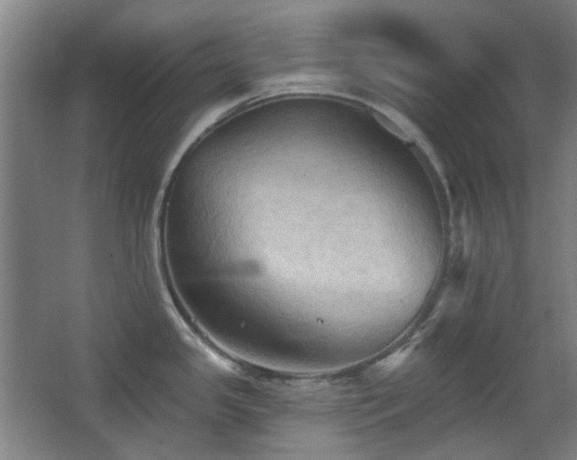 X0000068741341200604281130