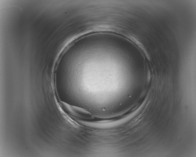 X0000068741342200604281130