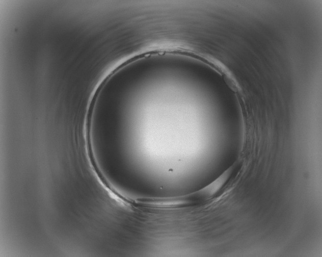 X0000068741343200604281130