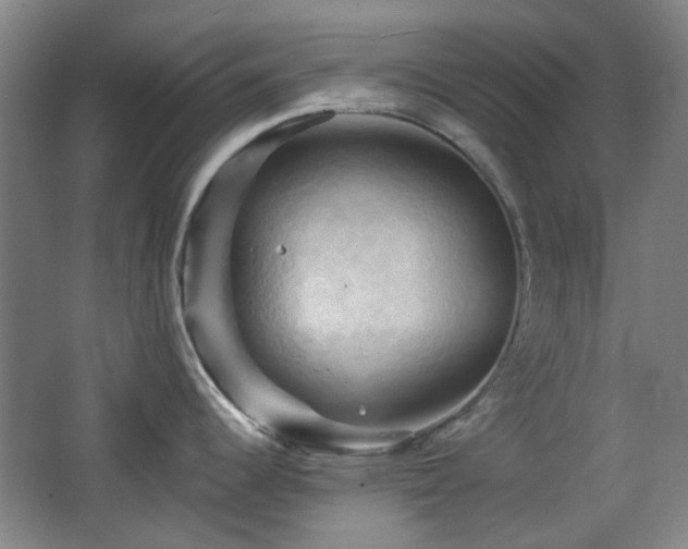 X0000068741344200604281130