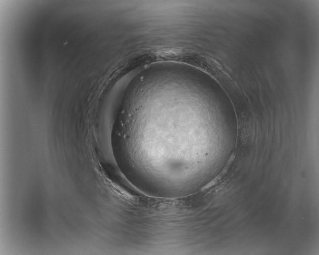 X0000068741345200604281129