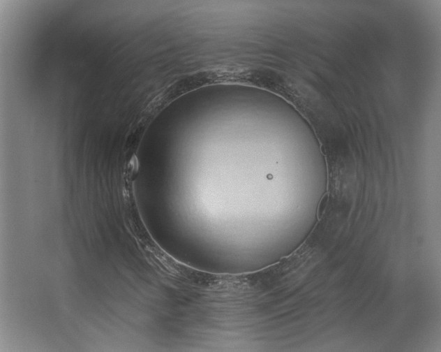 X0000068741346200604281129