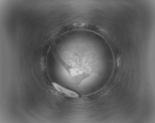 X0000068741347200604281129